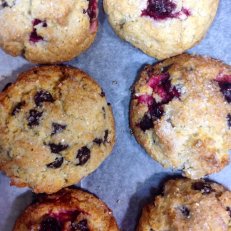 Cranberry Chocolate Chip Scone and Blueberry Muffin