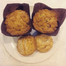 Cranberry Pecan Muffin and Honey Apricot Scone