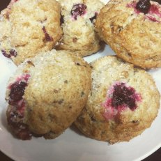 Mixed Berry Muffin and Cranberry Walnut Scone